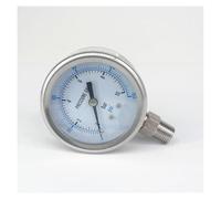 Manometro a quadrante da 60 mm, maschio NPT 1/8" 0-10 bar, acciaio inossidabile 304, psi, N2, vapore, precisione pneumatica, classe 2,5%