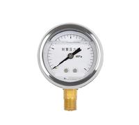 Manometro antiurto YTN-60 0-1,6 MPa(0-40MPa)