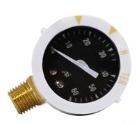 Manometro con filettatura 1/4 NPT, gamma 60 PSI e custodia protettiva in acciaio inox, adatto per sistemi di pressione a gas e piscina (laterale)