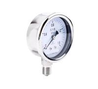 Manometro in acciaio inossidabile Y60BF resistenza radiale alle alte temperature, resistenza agli acidi e agli alcali(Y60BF 0~1MPa)