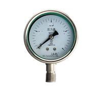 Manometro in acciaio inox Y-60BF 0-0,6/1Mpa(Y-60BF (0-0.6mpa))