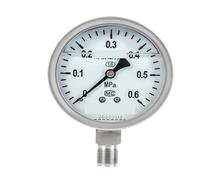 Manometro in acciaio Pressione dell'acqua radiale resistente agli urti 1.6Mpa Pressione dell'aria Pressione dell'olio Pressione del vuoto idraulico(G1-2,0-0.1 Mpa)