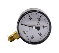 Manometro KP63 0/250mbar G1/4 Diametro frontale 63 mm Montaggio assiale Filettatura G1/4 for controllo automazione industriale