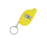 Manometro per pneumatici da viaggio con portachiavi per una mente accurata e tranquilla durante il viaggio Portachiavi da viaggio Monitoraggio della pressione dei pneumatici