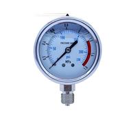 Manometro radiale in acciaio inox 0-60MPa Manometro idraulico for aria, olio e acqua Filettatura G1/4(0-1Mpa)