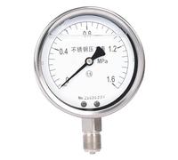 Manometro resistente agli urti in acciaio inossidabile YTN-100BF, filettatura resistente alla corrosione M20 * 1,5(0-2.5MPa)