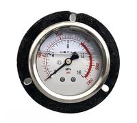 Manometro sismico con bordo assiale per YN-60ZT, costruzione in rame e acciaio inossidabile, quadrante da 60 mm, connessione flangiata per misurazione industriale idraulica e della pressione dell'aria