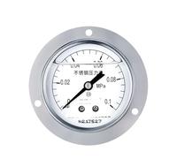 Manometro sismico in acciaio inossidabile YTN-60BFZT, manometro a bagno d'olio filettato assiale da 60 mm, grado 2,5, con bordo 0-4mpa(0-0.1mpa)