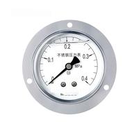 Manometro sismico in acciaio inossidabile YTN-60BFZT, manometro a bagno d'olio filettato assiale da 60 mm, grado 2,5 con bordo, 0-0,1mpa(0-0.4mpa)