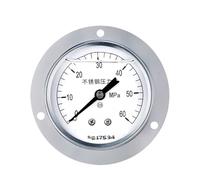 Manometro sismico in acciaio inossidabile YTN-60BFZT, manometro a bagno d'olio filettato assiale da 60 mm, grado 2,5, con bordo 0-4mpa(0-60mpa)