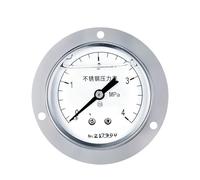 Manometro sismico in acciaio inossidabile YTN-60BFZT, manometro a bagno d'olio filettato assiale da 60 mm, grado 2,5, con bordo 0-4mpa(0-4mpa)