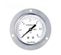 Manometro sismico in acciaio inossidabile YTN-60BFZT, manometro a bagno d'olio filettato assiale da 60 mm, grado 2,5 con bordo, 0-0,1mpa(0-6mpa)