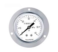 Manometro sismico in acciaio inossidabile YTN-60BFZT, manometro a bagno d'olio filettato assiale da 60 mm, grado 2,5 con bordo, 0-0,1mpa(0-60mpa)