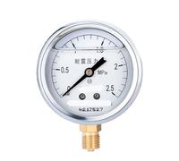 Manometro sismico radiale YTN-60, manometro a olio, manometro 'aria di livello 2,5, manometro 'olio idraulico, manometro 'acqua 0-1,6 MPa(0-2.5mpa)