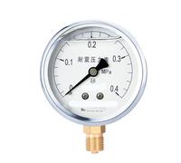 Manometro sismico radiale YTN-60, manometro a olio, manometro 'aria di livello 2,5, manometro 'olio idraulico, manometro 'acqua 0-1,6 MPa(0-0.4mpa)