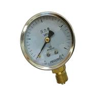 Manometro standard 0-1,6 MPa Y-60(0-16MPA)