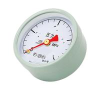 Manometro standard Y-60Z, diametro 60 mm, tipo a lancetta assiale(0-0.16mpa)