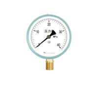 Manometro Y-100, manometro radiale for vuoto, for pressione negativa, for olio idraulico, for rilevamento acqua, for, for, for aria 0-1,6 MPa(0-40MPa)