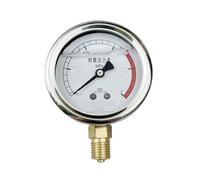 Manometro YN60 resistente agli urti 0-0,6 1 1,6MPA filettatura M14*1,5(0-6MPA)