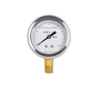 Manometro YN60 resistente agli urti quadrante 0,6/1,6/25/40/60MPa 60MM(0-40mpa(400kg))