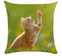MANQILE Federa Decorativa con Motivo a Gatto Carino, Decorazione per Soggiorno, Ufficio, casa