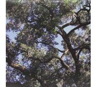 Manson, Charles - Trees