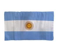 Mantello Con Bandiere Classiche Con Maniche Fornitura Calcio Bandiera Nazionale Indossabile Calcio 2022 Oggetti Scena Per Tifo Per I Oggetti Scena Per Tifo