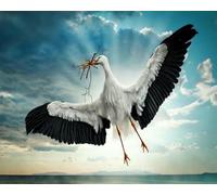 mantianhome Kit per ricamo a punto croce con uccello in volo, 11 ct, kit per ricamo popolare con stampa accurata, adatto per adulti e principianti, artigianato fai da te-40X50CM