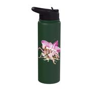 Mantide orchidea bellissima mantide orchidea le meraviglie Stainless Steel Insulated Water Bottle