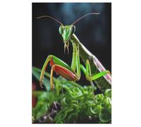 Mantis 1000 Pezzi Puzzle Per Adulti Bambini Gioco Intellettuale Puzzles Giochi Per Famiglie 78×53cm
