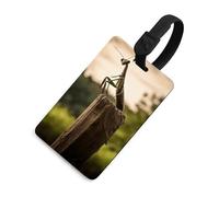 Mantis - Targhetta per bagagli con nome e carta d'identità, in pelle, impermeabile, accessorio da viaggio per adulti, donne e uomini