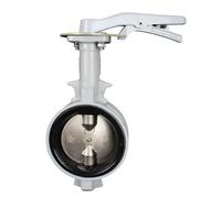 Manual Ductile Iron Wafer Butterfly Valve PN16DJ - Lever Operated with NBR Seat(DN125)