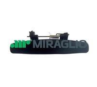 MANUALE ANTERIORE SINISTRO PRIMER DUSTER 2010-2017