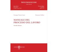 Libri Trisorio Liuzzi Giuseppe / Domenico Dalfino - Manuale Del Processo Del Lav