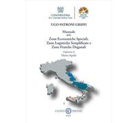 Manuale delle zone economiche speciali, zone logistiche semplificate, zone franche doganali