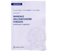 Manuale dell'esecuzione forzata