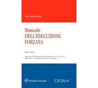 Manuale dell'esecuzione forzata
