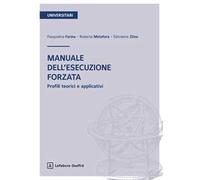 Manuale dell'esecuzione forzata