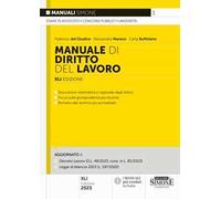 Manuale di biritto del lavoro