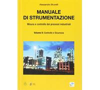 Manuale di strumentazione. Misura e controllo dei processi industriali. Controllo e sicurezza (Vol. 2)