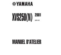 MANUALE OFFICINA REVISIONE RIPARAZIONE PDF YAMAHA XVS 250 DRAGSTAR 2001