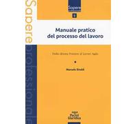 Manuale pratico del processo del lavoro. Dalla Riforma Fornero al Lavoro agile