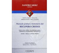 Manuale pratico e formulario del recupero crediti