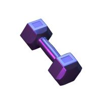 Manubri Manubri Attrezzature Per Il Fitness Per La Casa Per Uomo E Per Donna Allenamento Fitness Manubri Esagonali Gommati Set di manubri