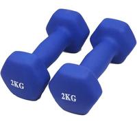 Manubri Set di 2 (1kg-10kg) Sollevamento Pesi Manubrio Set per Me E Wome per L'esercizio della Palestra A Casa Fitess Traiig Weight Liftig, Blue, 3kg