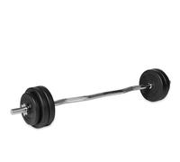 Manubri VirtuFit EZ-Curl Argenté 20 kg
