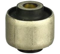 Manubrio di stoccaggio - Delphi TD1111W