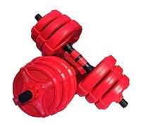 Manubrio, Set di manubri, set pesi, 2 in 1, for sollevamento, convertibili in regolabili, bilanciere, palestra, fitness for la casa(20kg(10kg*2))