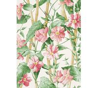 Manuel Canovas Carta da parati Elena - Peche