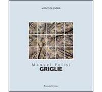 Manuel Felisi. Griglie. Catalogo della mostra (Roma, 18 ottobre-8 novembre 2014). Ediz. italiana e inglese